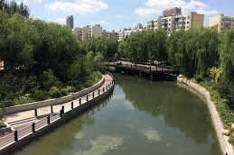 Harbin –Harbin has direct jurisdiction over 9 metropolitan districts, 2 county-level cities and 7 counties.