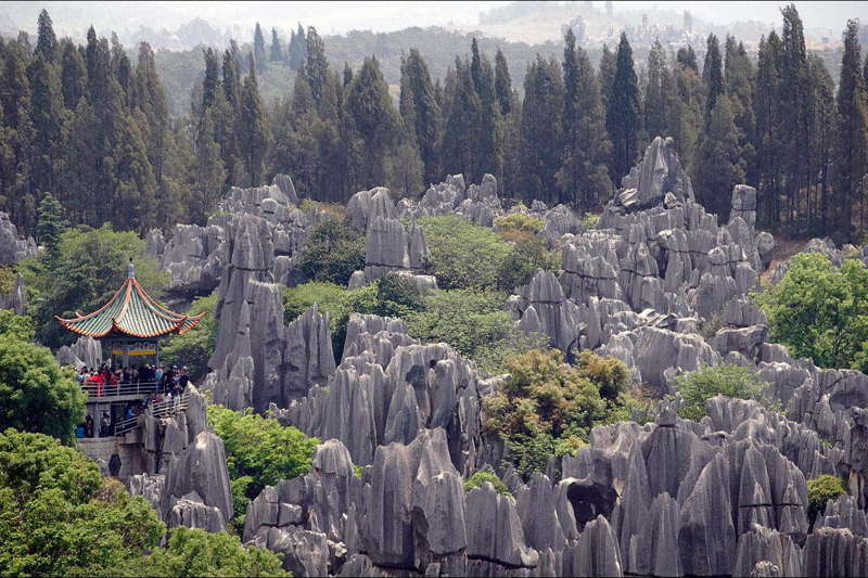 Kunming –The capital of Yunan, a city has one of the mildest climates in China, warm in four seasons.