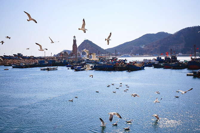 Dalian –A seaside city of European style, and know as the “Best Tourist City” of China.