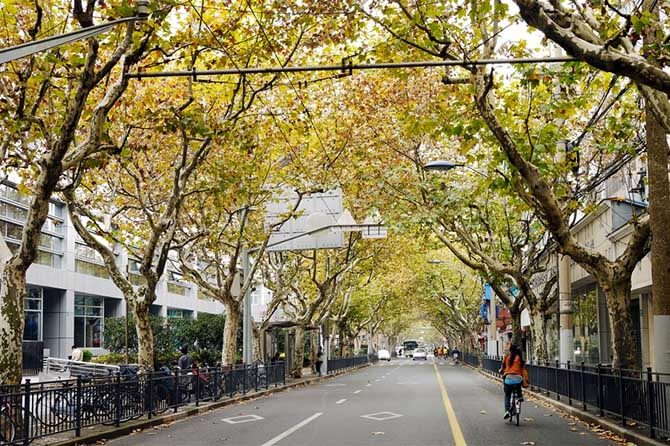 Shanghai –The economic center and the most international city of China.