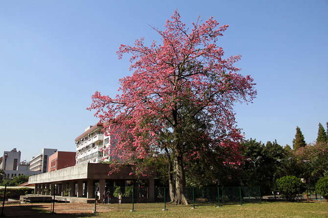 Guangzhou –The most fancy city with nice climate and delicious food, neighboring with Hong Kong.