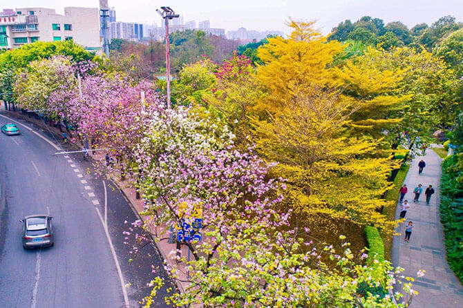 Guangzhou –The most fancy city with nice climate and delicious food, neighboring with Hong Kong.