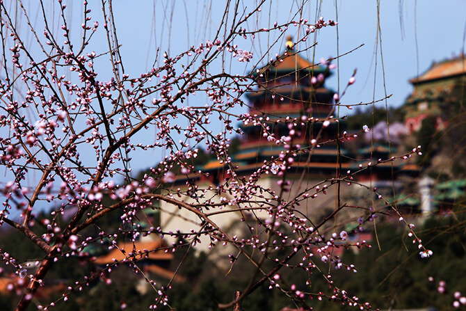 Beijing –The capital of China, where amazing things happen!