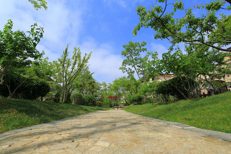 Yantai –A small coastal city in Shandong Province, known for its world famous apple.