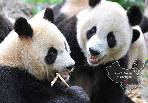 WELCOME TO CHINESE CULTURE