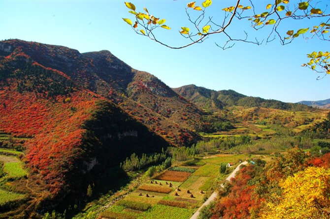 Zibo –A small seaside city in Shandong Province, low living expense.