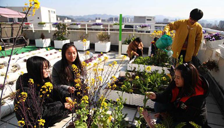 Top Chinese universities open new schools in response to rural vitalization drive
