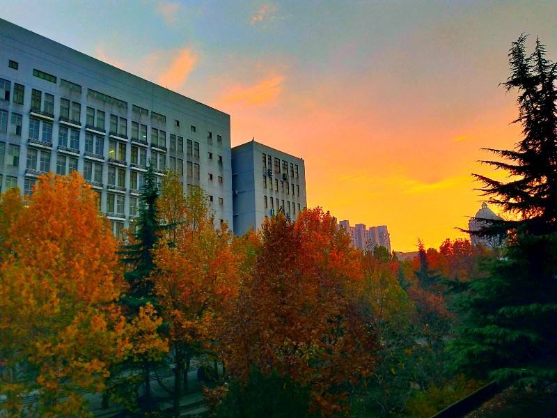 Hebei Medical University