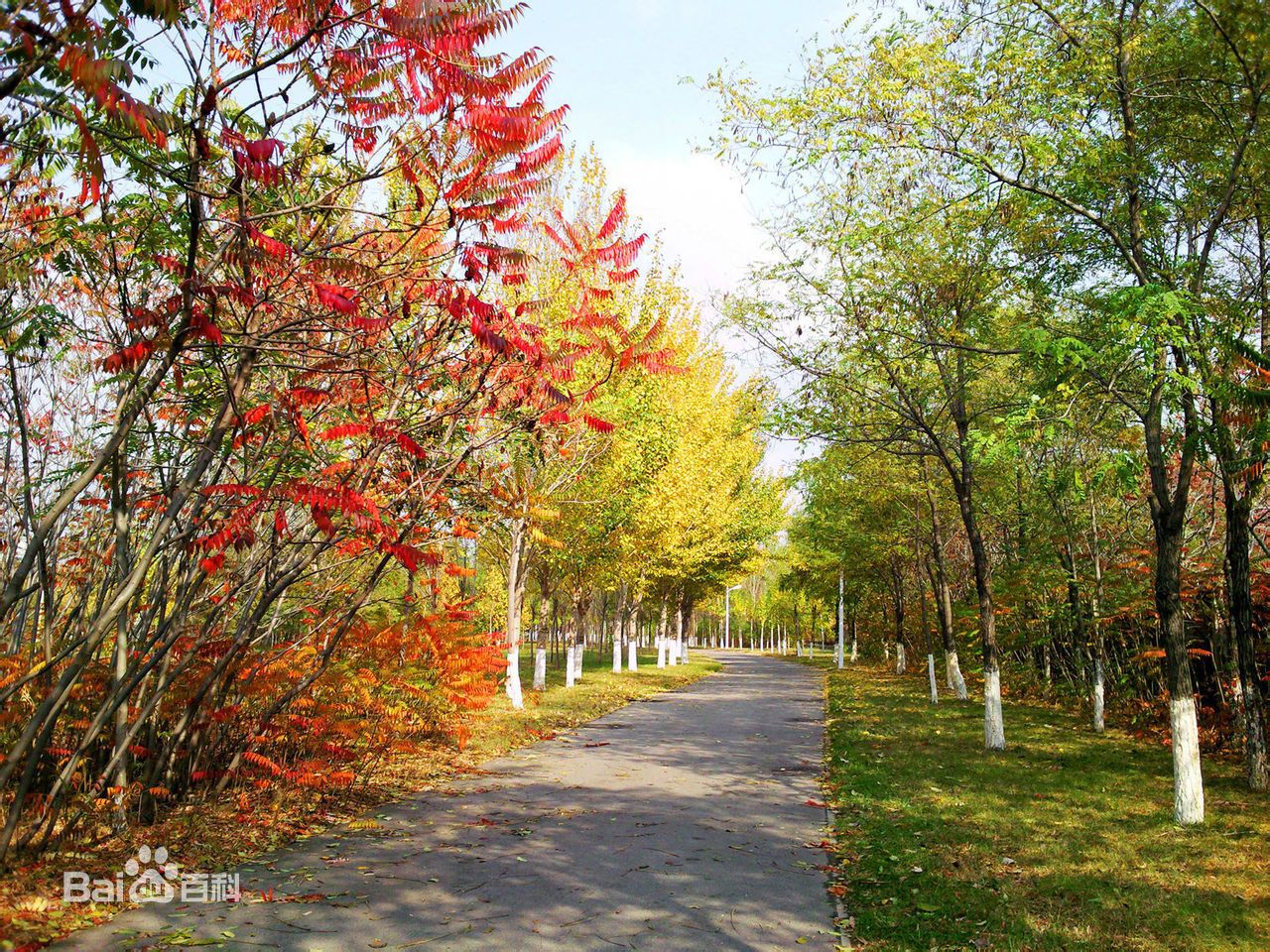 Shenyang University of Chemical Technology