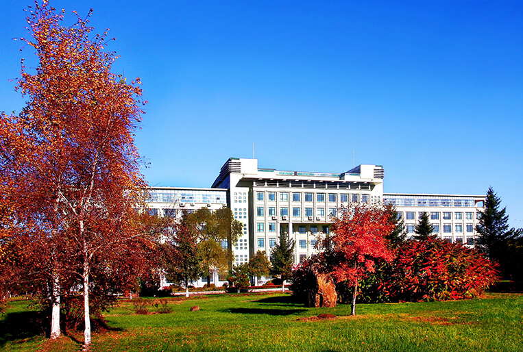 Jilin Institute of Chemical Technology