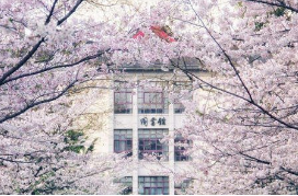 Nanjing Forestry University