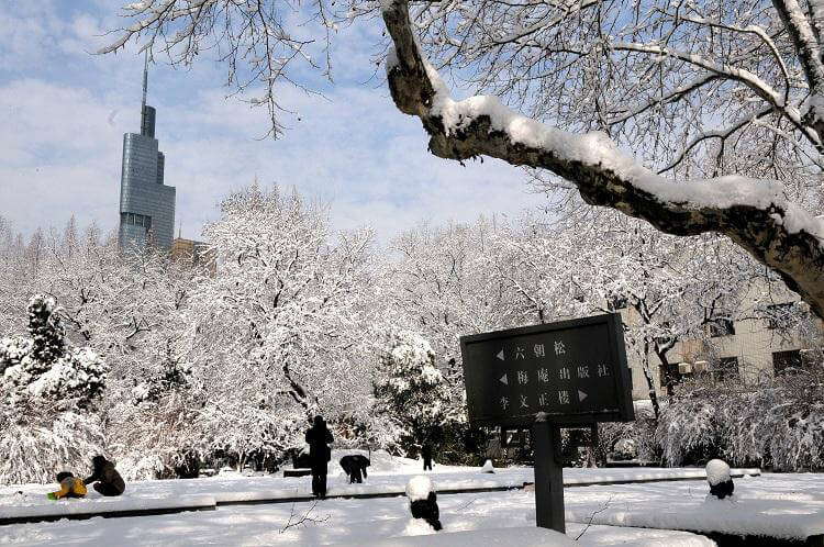 SouthEast University