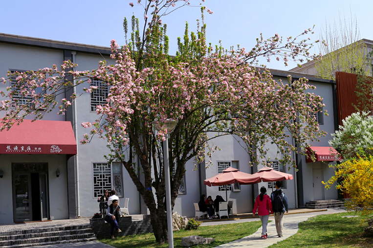 Beihang University