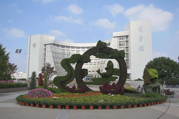 Shanghai University