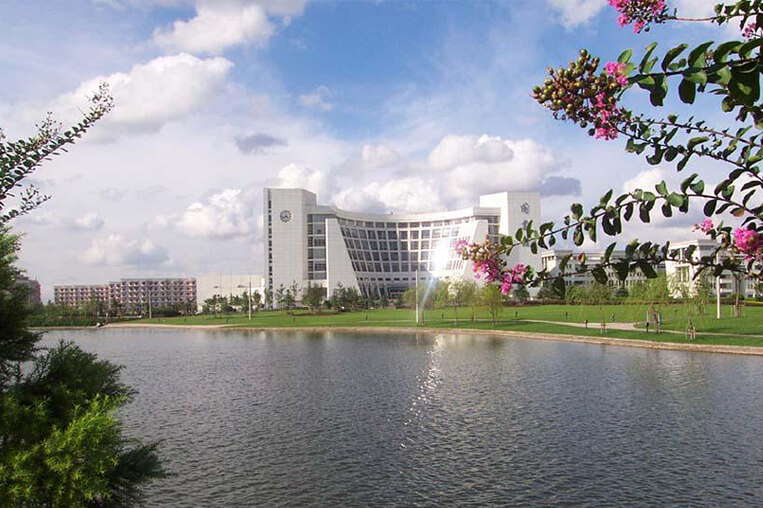 Shanghai University