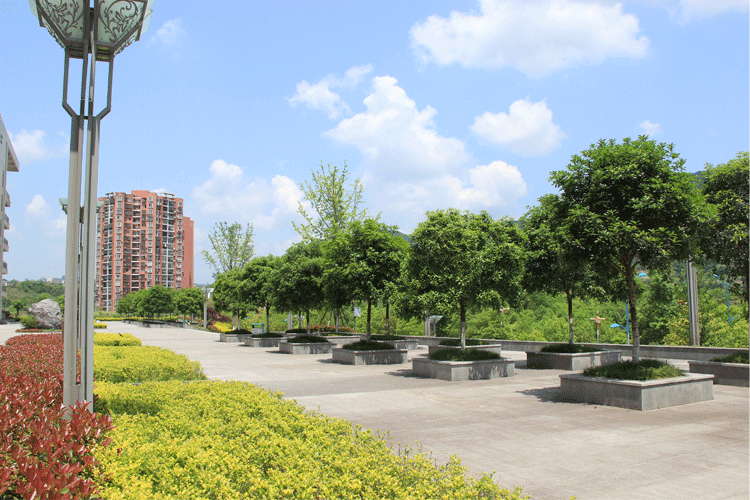 Sichuan University of Arts and Science