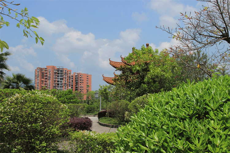 Sichuan University of Arts and Science
