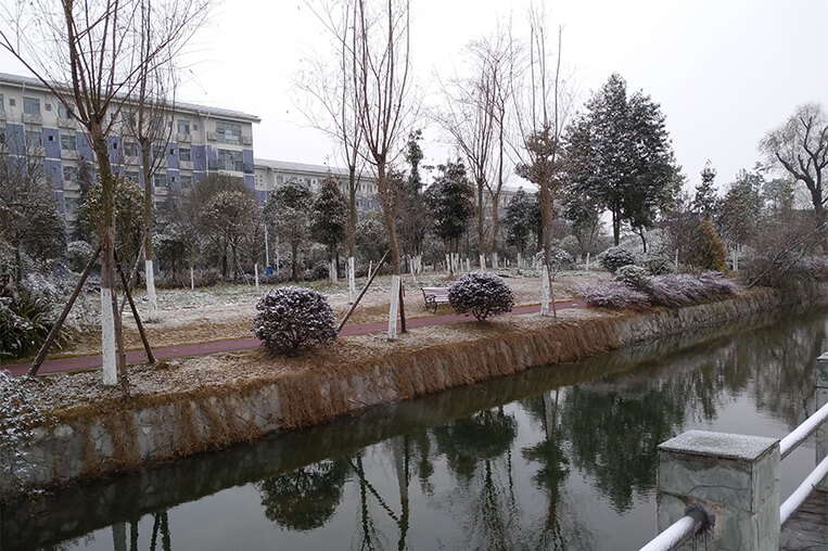 Sichuan Technology Business College