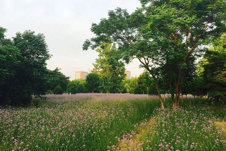 Nanjing Institute of Industry Technology