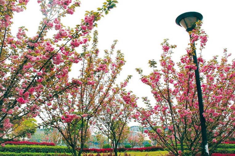 Changsha University Of Science & Technology