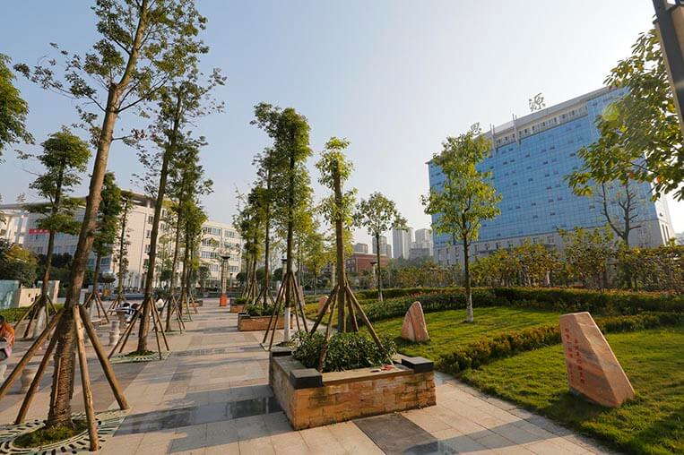 Shandong Vocational College of Science and Technology