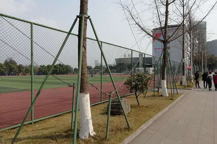 Shandong Vocational College of Science and Technology