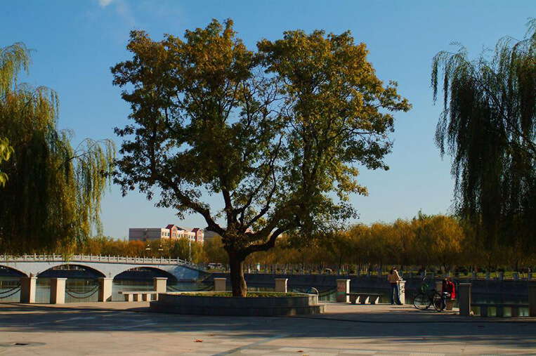 Henan Polytechnic University