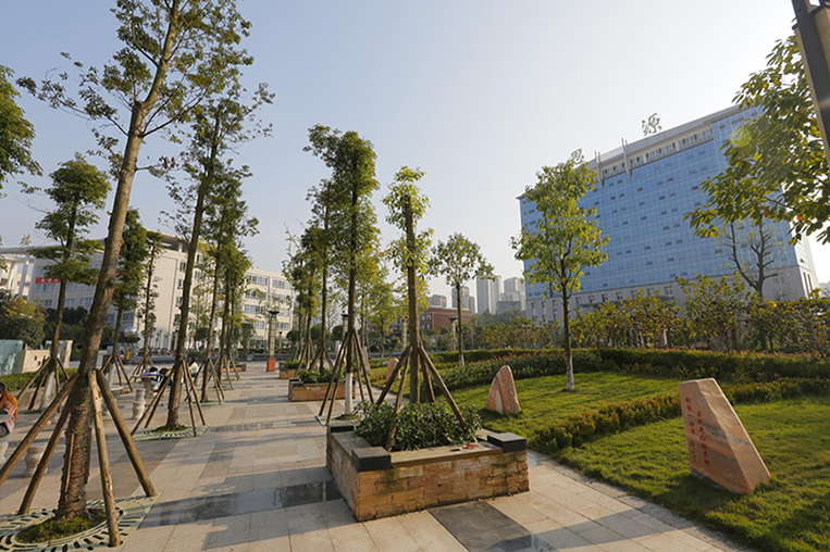 Guang'an Vocational Technical College