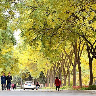Gansu Agricultural University