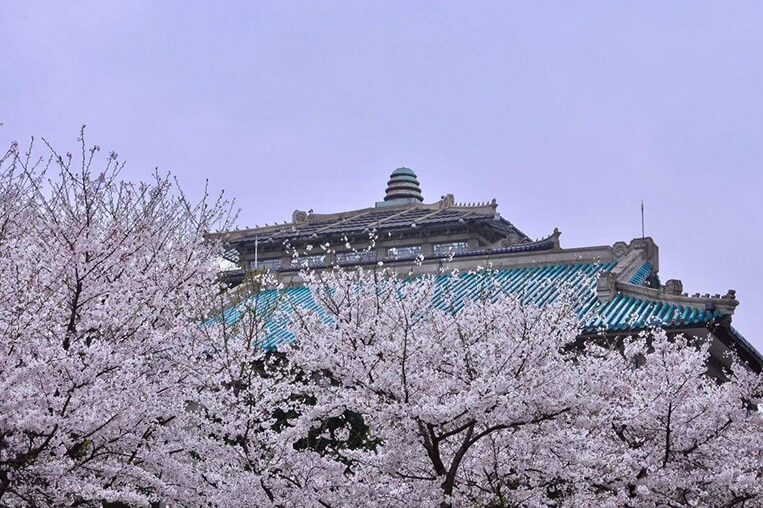 Wuhan University