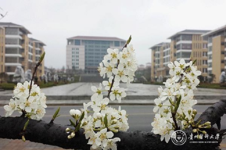Guizhou Medical University