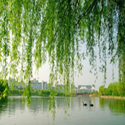 HeFei University of Technology