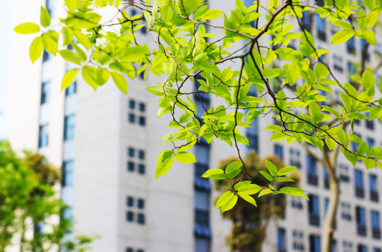 Nanjing University of Information Science & Technology